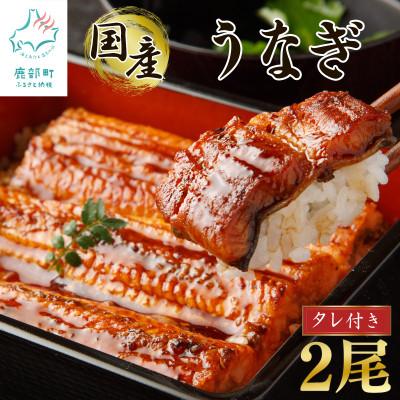 ふるさと納税 鹿部町 国産うなぎ蒲焼き 2尾