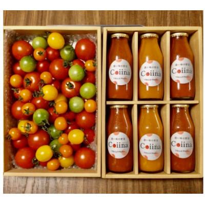 ふるさと納税 伊勢原市 [先行予約]辻ファーム Coiinaトマトミックス詰め合わせ 1kgとトマトジュース6本セット