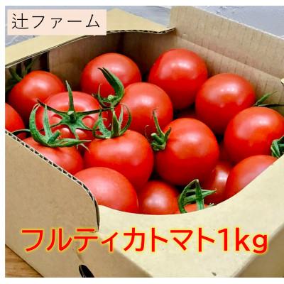 ふるさと納税 伊勢原市 [先行予約]辻ファーム フルティカトマト 1kg 神奈川県伊勢原市