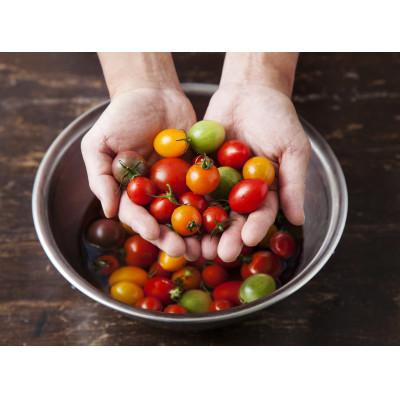 ふるさと納税 伊勢原市 [先行予約]辻ファーム Coiinaトマトミックス 厳選詰め合わせセット 1kg 神奈川県・伊勢原市