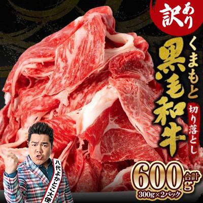 ふるさと納税 八代市 【訳あり】くまもと黒毛和牛 切り落とし 600g | 