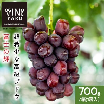 ふるさと納税 南アルプス市 [2026年秋収穫先行予約]山梨県産 富士の輝 700g/箱(1房入)