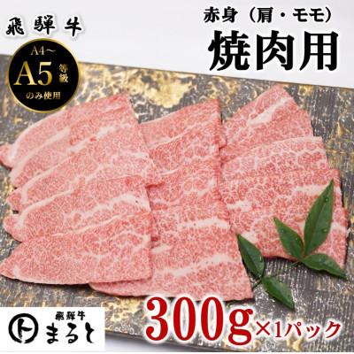 ふるさと納税 養老町 [飛騨牛]赤身 焼肉用 計300g入り