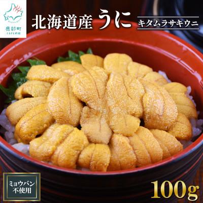 ふるさと納税 鹿部町 北海道産 ふり塩うに キタムラサキウニ 100g F22-5