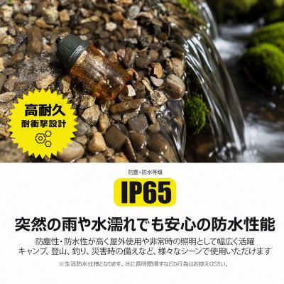 ふるさと納税 貝塚市 Stormlite 軽量設計 IP65 耐衝撃設計 電球色 充電式ランタン SK-D7S_3