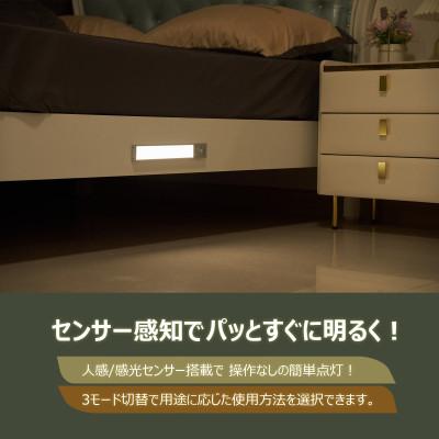 ふるさと納税 貝塚市 充電式バーライト マグネット付 ステンレスシール付属 人感センサー機能 HM-84T
