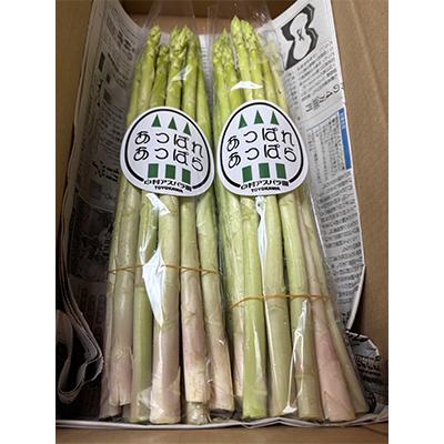 ふるさと納税 豊川市 [2026年4月〜順次発送予定]新鮮朝採れアスパラガス 1kg