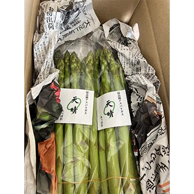 ふるさと納税 豊川市 [2026年4月〜順次発送予定]特選アスパラガス 1kg