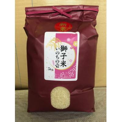 ふるさと納税 石岡市 [令和7年産]獅子米 いのちの壱 精米 5kg