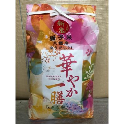 ふるさと納税 石岡市 [令和7年産]獅子米 ゆうだい21 精米 5kg