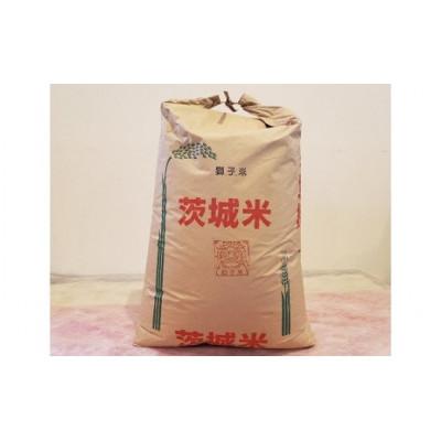 ふるさと納税 石岡市 【令和7年産】獅子米 ミルキークイーン 玄米 30kg | 