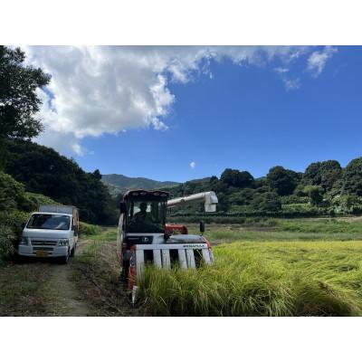 ふるさと納税 石岡市 【令和7年産】獅子米 ミルキークイーン 玄米 30kg_1