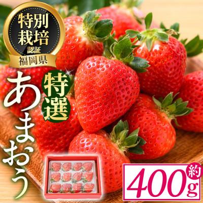 ふるさと納税 春日市 特選あまおう 約400g(春日市)