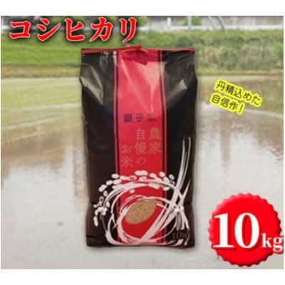 ふるさと納税 石岡市 [令和7年産]獅子米 コシヒカリ 玄米 10kg