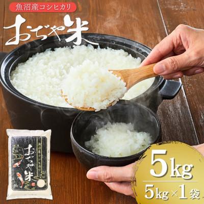 ふるさと納税 小千谷市 [令和7年産新米]魚沼産コシヒカリ おぢや米 精米 5kg お米 新潟県 小千谷市