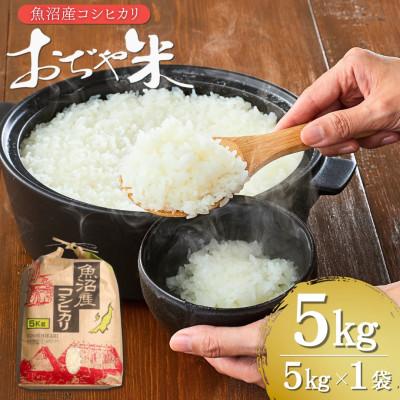 ふるさと納税 小千谷市 [令和7年産米]魚沼産コシヒカリ おぢや米 精米 5kg クラフト袋 お米 新潟県 小千谷市