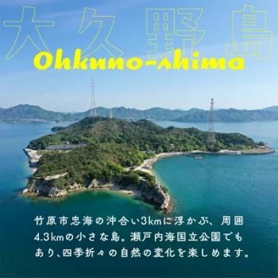 ふるさと納税 竹原市 【うさぎ島】 瀬戸内産アワビ付きグルメプランペア宿泊券(36,000円相当)_2