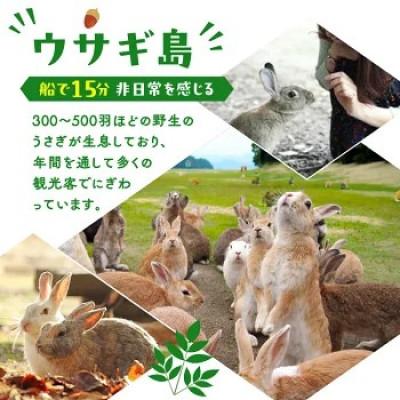 ふるさと納税 竹原市 【うさぎ島】 瀬戸内産アワビ付きグルメプランペア宿泊券(36,000円相当)_3