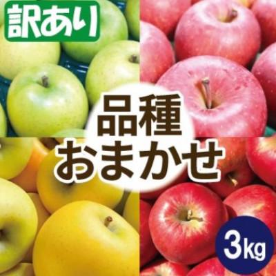 ふるさと納税 大鰐町 [25年12月出荷予定]りんご 品種おまかせ 約3kg 訳あり