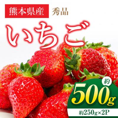 ふるさと納税 和水町 熊本県産 いちご 約500g (約250g×2パック)(和水町)