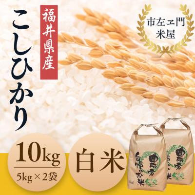 ふるさと納税 小浜市 令和7年産 農家直送 福井県産こしひかり 白米10kg(5kg×2袋)