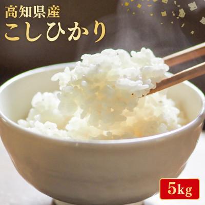 ふるさと納税 安芸市 こしひかり 5kg 令和7年産 白米