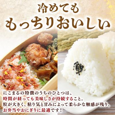 ふるさと納税 安芸市 にこまる 10kg 令和7年産 白米 : Yahoo!ふるさと
