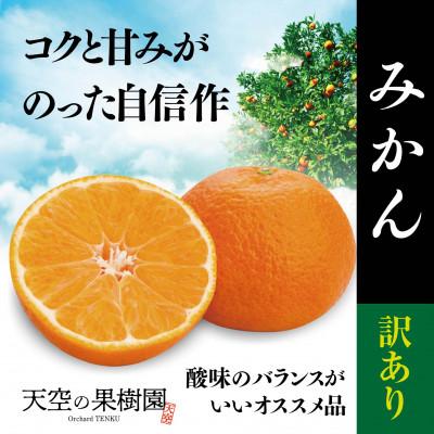 ふるさと納税 八幡浜市 天空の果樹園から届く そらみかん (5kg)[訳あり][A95-4]