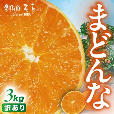 ふるさと納税 八幡浜市 天空の果樹園から届く そらまどんな(3kg)[訳あり][C95-5]