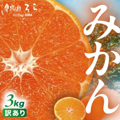 ふるさと納税 八幡浜市 天空の果樹園から届くそらみかん (3kg)[訳あり][A95-6]