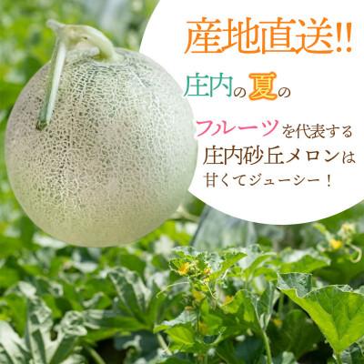 ふるさと納税 鶴岡市 産地直送!庄内砂丘アンデスメロン 約5kg(3〜5玉)[K-935] |  | 01