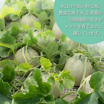 ふるさと納税 鶴岡市 産地直送!庄内砂丘アンデスメロン 約5kg(3〜5玉)[K-935] |  | 02