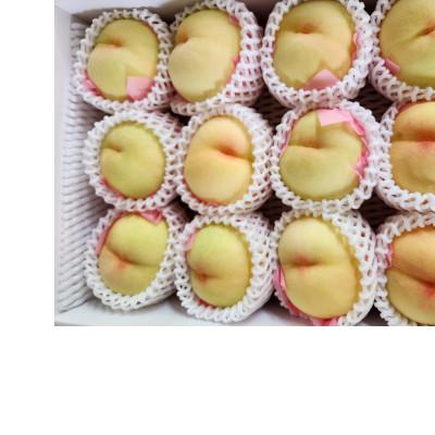 ふるさと納税 岡山市 岡山名産白桃おまかせ 4Kg