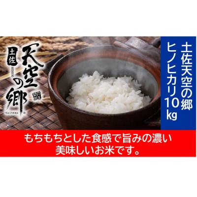 ふるさと納税 本山町 ★令和7年産★ 本山町の棚田で育てられた棚田米 「土佐天空の郷ヒノヒカリ」10kg