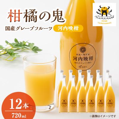 ふるさと納税 八幡浜市 河内晩柑ジュース(ストレート)720ml×12本[H56-79]