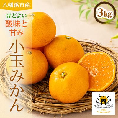 ふるさと納税 八幡浜市 八幡浜産 あまーい小玉みかん計3kg[C56-88]