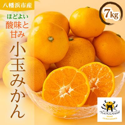 ふるさと納税 八幡浜市 八幡浜産 小玉みかん 7kg 箱パンパン![D56-89]