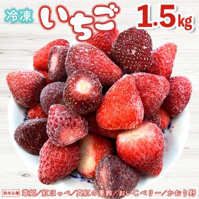 ふるさと納税 富津市 冷凍完熟いちご1.5kg 富津アクアファーム AB-11z