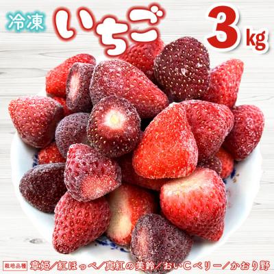 ふるさと納税 富津市 冷凍完熟いちご 3kg(1kg×3パック) 富津アクアファーム AB-12z