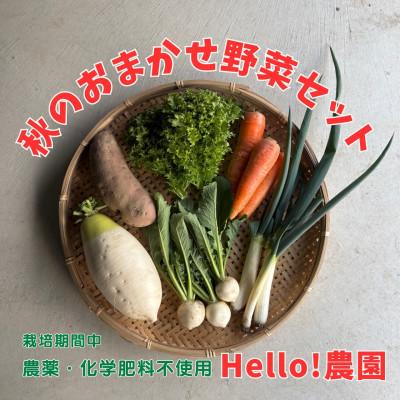 ふるさと納税 江南市 [Hello!農園直送]秋のおまかせ野菜セット(5〜7品) 栽培期間中農薬・化学肥料不使用