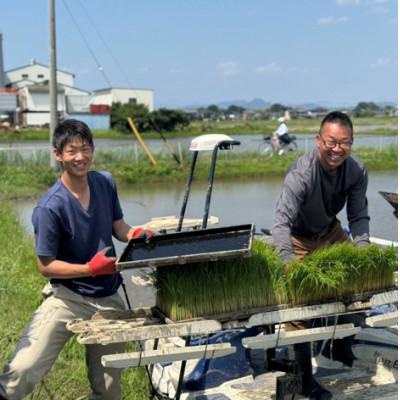 ふるさと納税 羽島市 令和7年産 岐阜県羽島市産ハツシモ 玄米30kg(30kg×1袋)の画像