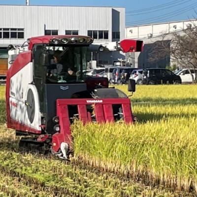 ふるさと納税 羽島市 令和7年産 岐阜県羽島市産ハツシモ 玄米30kg(30kg×1袋)の画像