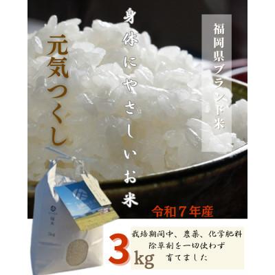 ふるさと納税 筑前町 令和7年産 身体にやさしいお米[栽培期間中、農薬・化学肥料を一切使わず育てたお米]農家直送致します