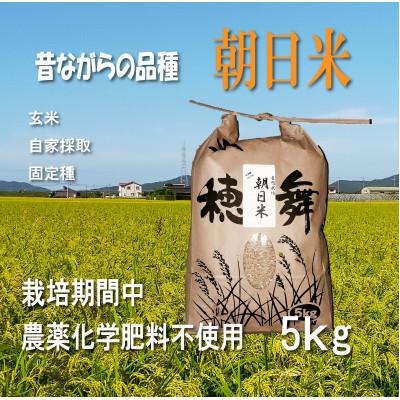 ふるさと納税 防府市 栽培期間中農薬・肥料不使用で作った朝日米 玄米5kg