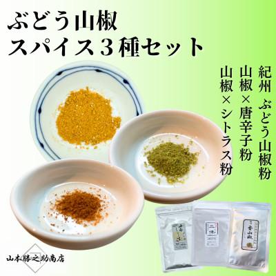 ふるさと納税 海南市 [ぶどう山椒]スパイス3種セット