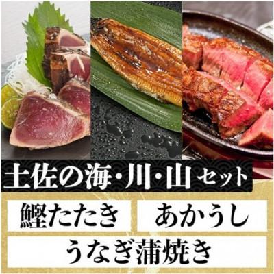 ふるさと納税 高知市 「土佐の海 川 山」鰹タタキ 約300g・うなぎ蒲焼 約140g・あかうし 約200g[AM008]