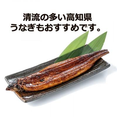 ふるさと納税 高知市 「土佐の海 川 山」鰹タタキ 約300g・うなぎ蒲焼 約140g・あかうし 約200g【AM008】 |  | 03