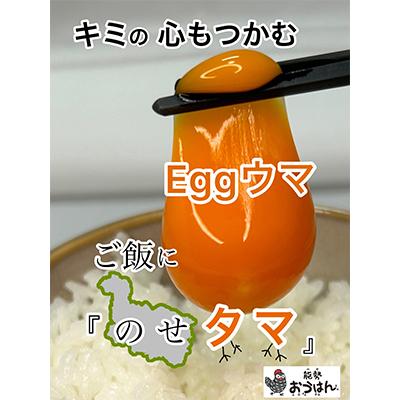 ふるさと納税 能勢町 「さぁ!ご飯にのせ玉子」モノクロ鶏の極上個性たまご30個