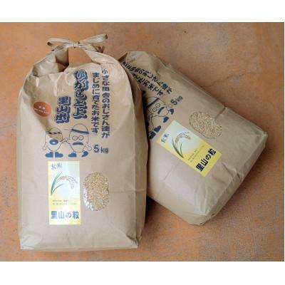 ふるさと納税 山添村 [令和7年産]里山の粒 玄米 10kg(5kg×2袋) ひがしとよ里山米