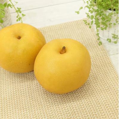 ふるさと納税 加茂市 [2026年先行予約]新潟県産和梨 新美月 新王 2品種詰め合わせ 約3kg[9月中旬以降配送]